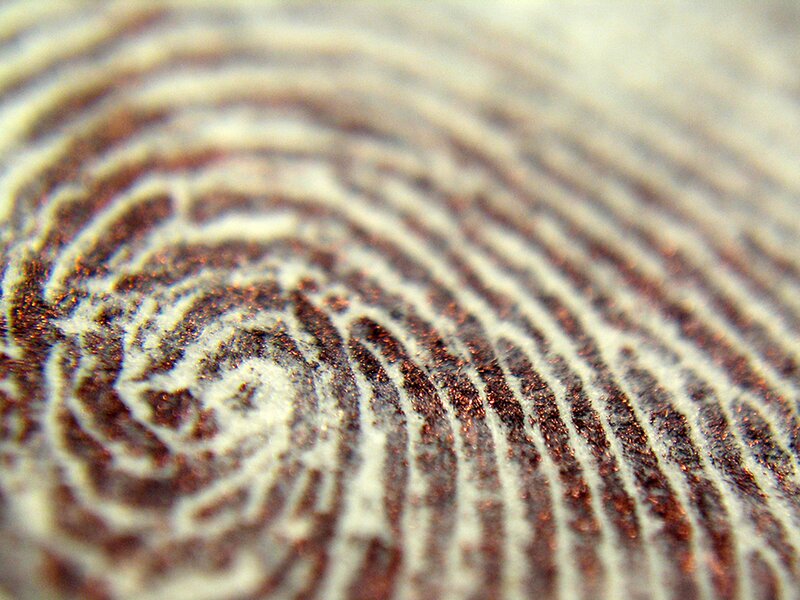 close-up of a fingerprint