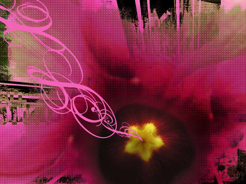 Close-up of a Flower — Pink, Vibrant, Digital Art