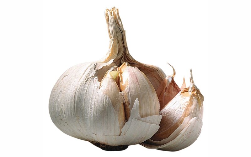 close-up of a garlic bulb