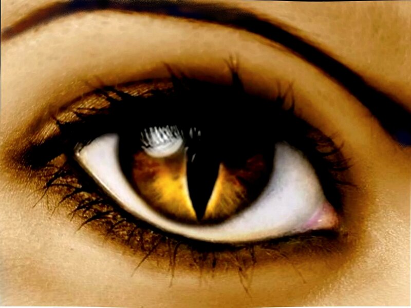 close-up of a golden eye