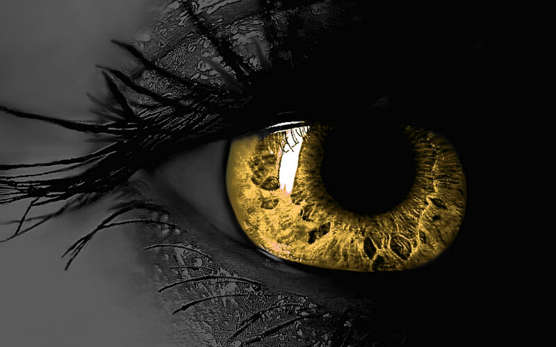 close-up of a golden eye
