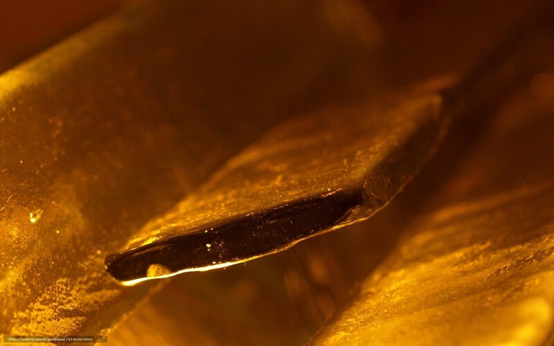 Close-up of a golden object