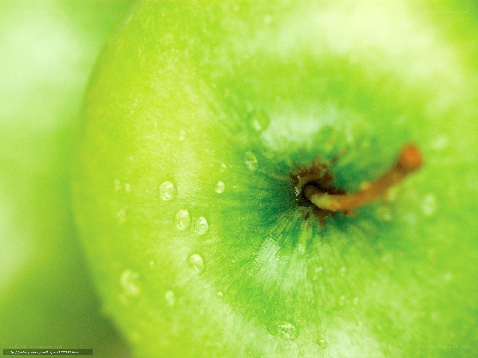 Close-up of a green apple
