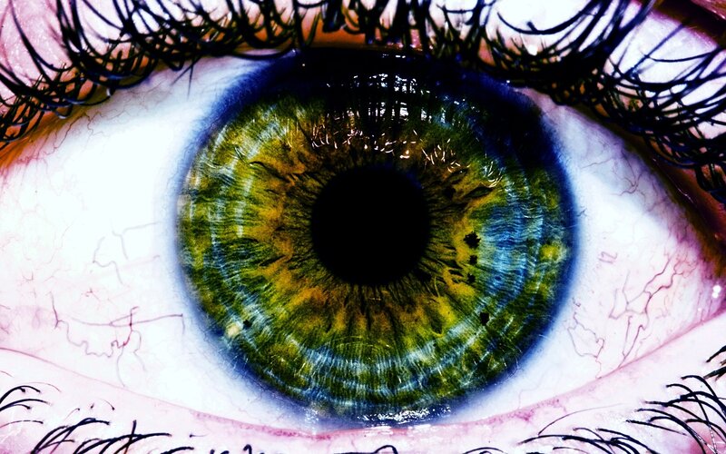 close-up of a green eye