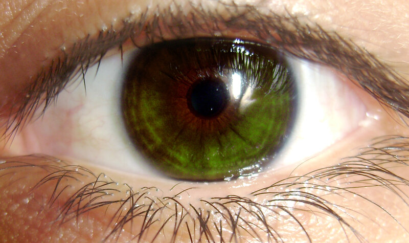 close-up of a green eye