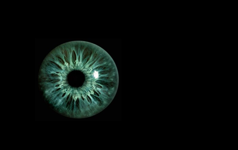 close-up of a green eye