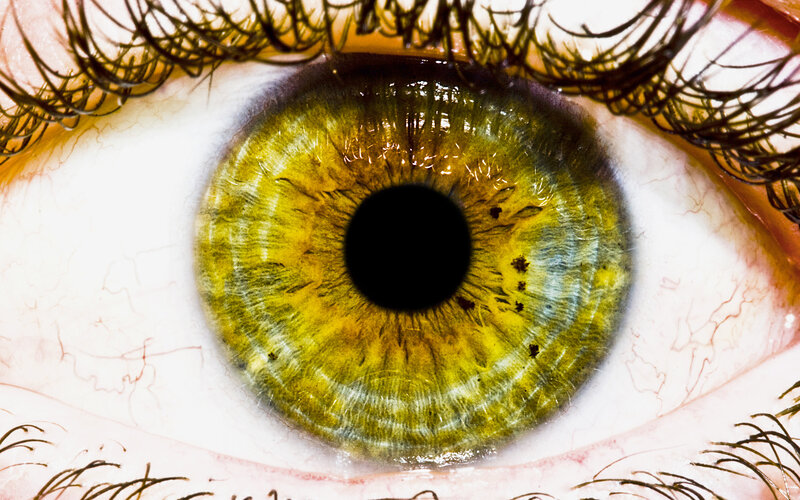 close-up of a green eye