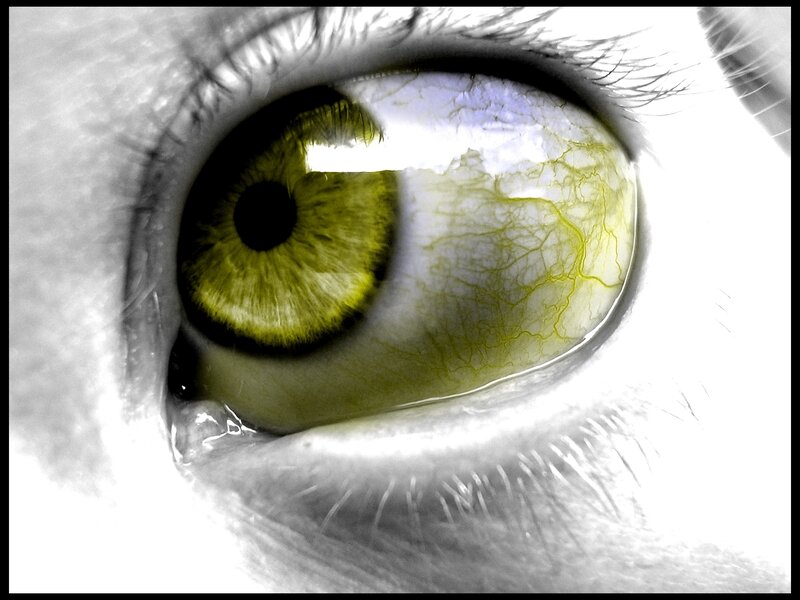 close-up of a green eye