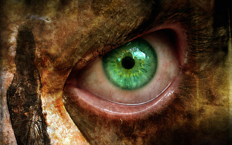 close-up of a green eye