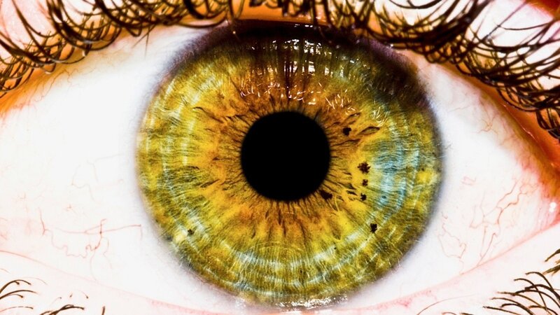 close-up of a green eye