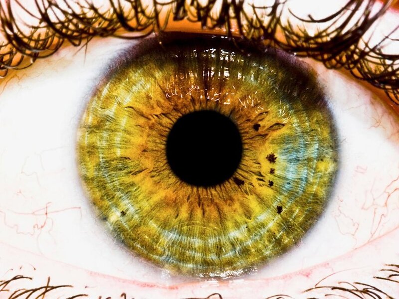 close-up of a green eye