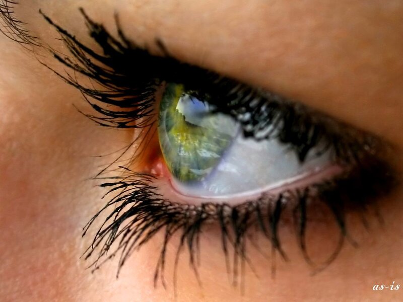 close-up of a green eye