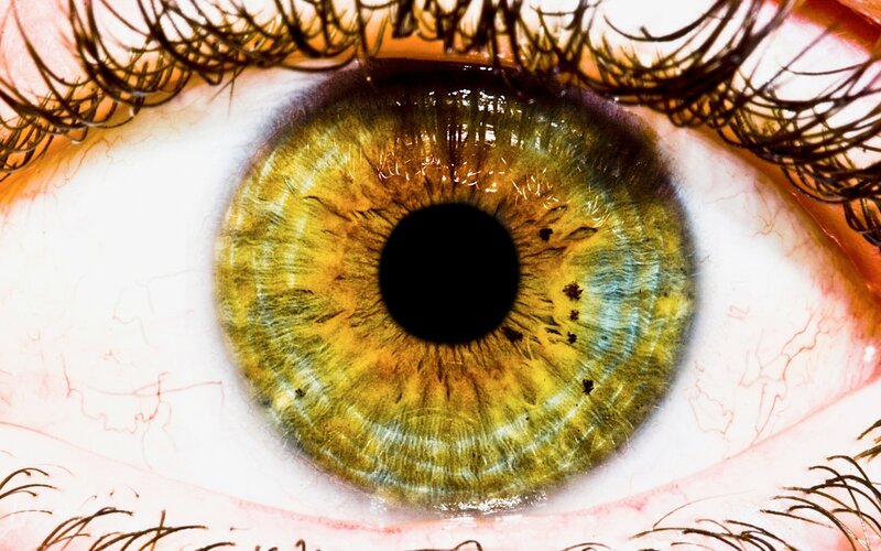 close-up of a green eye
