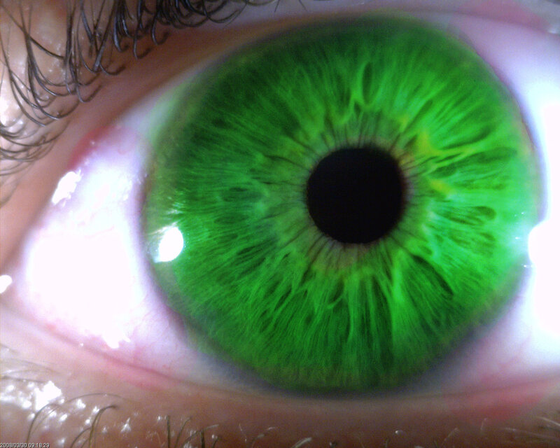 close-up of a green eye