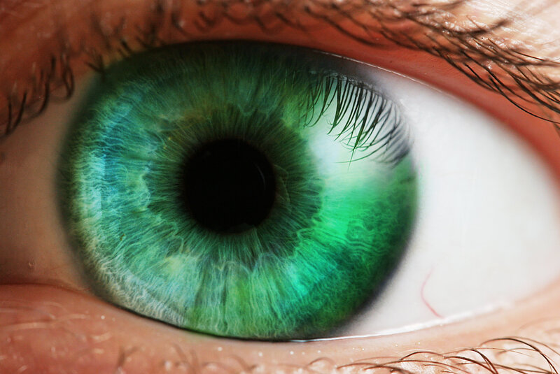 close-up of a green eye