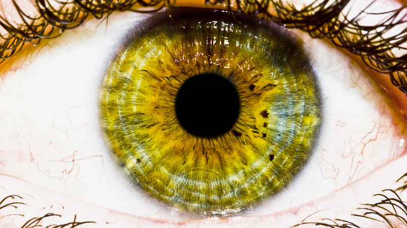 Close-up of a green eye