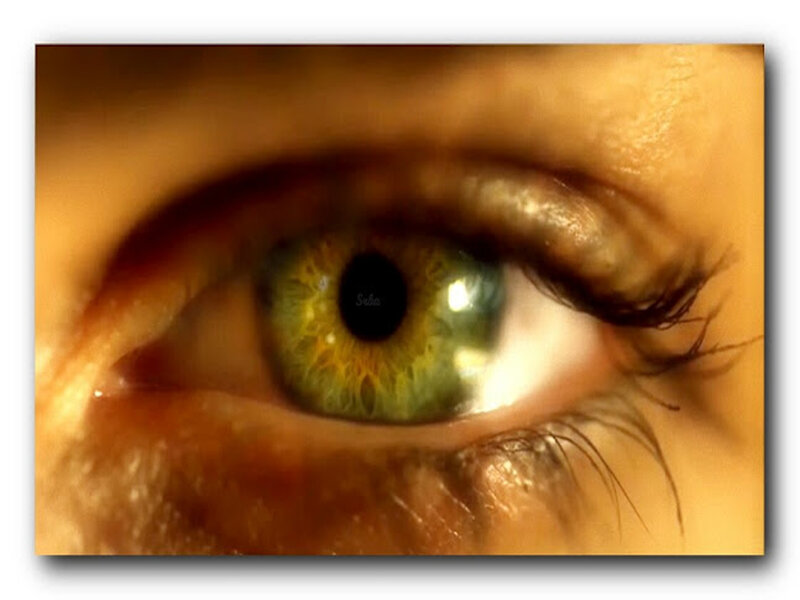 Close-up of a Green Eye — Dramatic, Photograph, Eyelash, Iris
