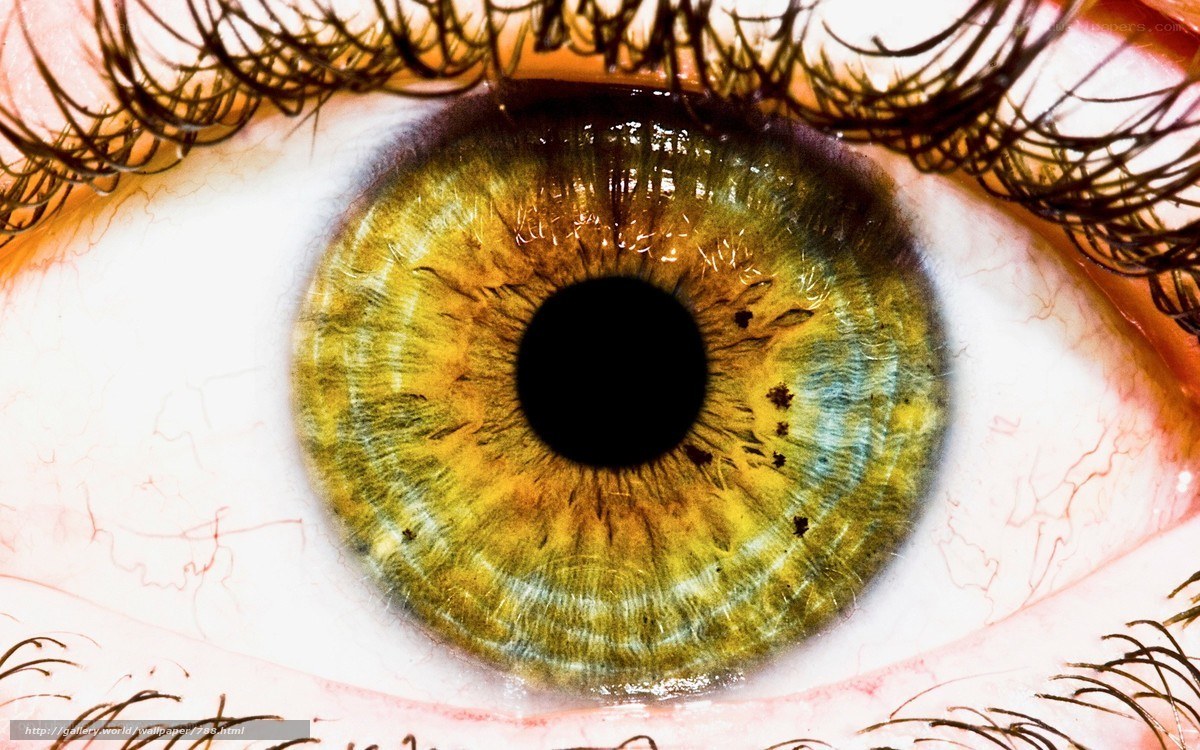 Close-up of a green eye
