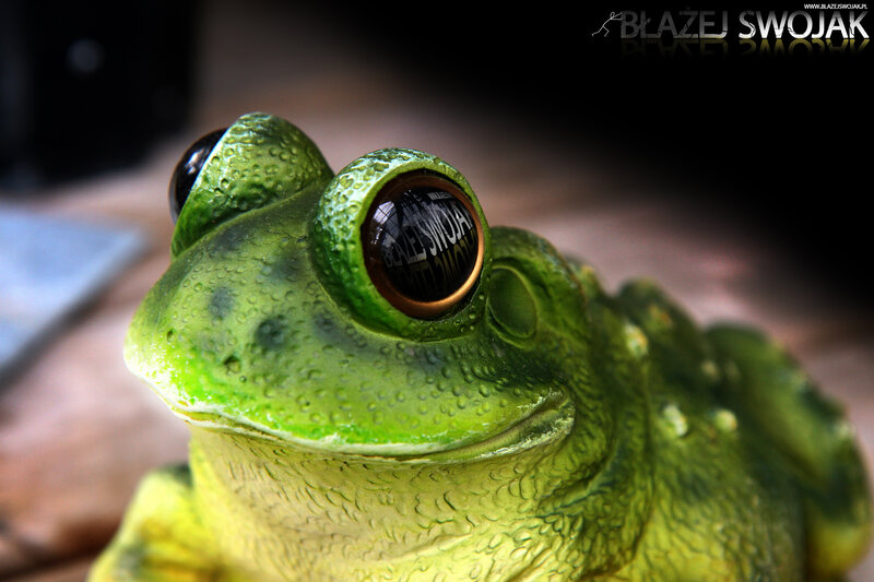 close-up of a green frog figurine
