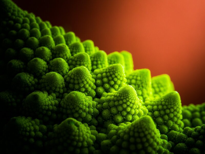 Close-up of a green Romanesco broccoli