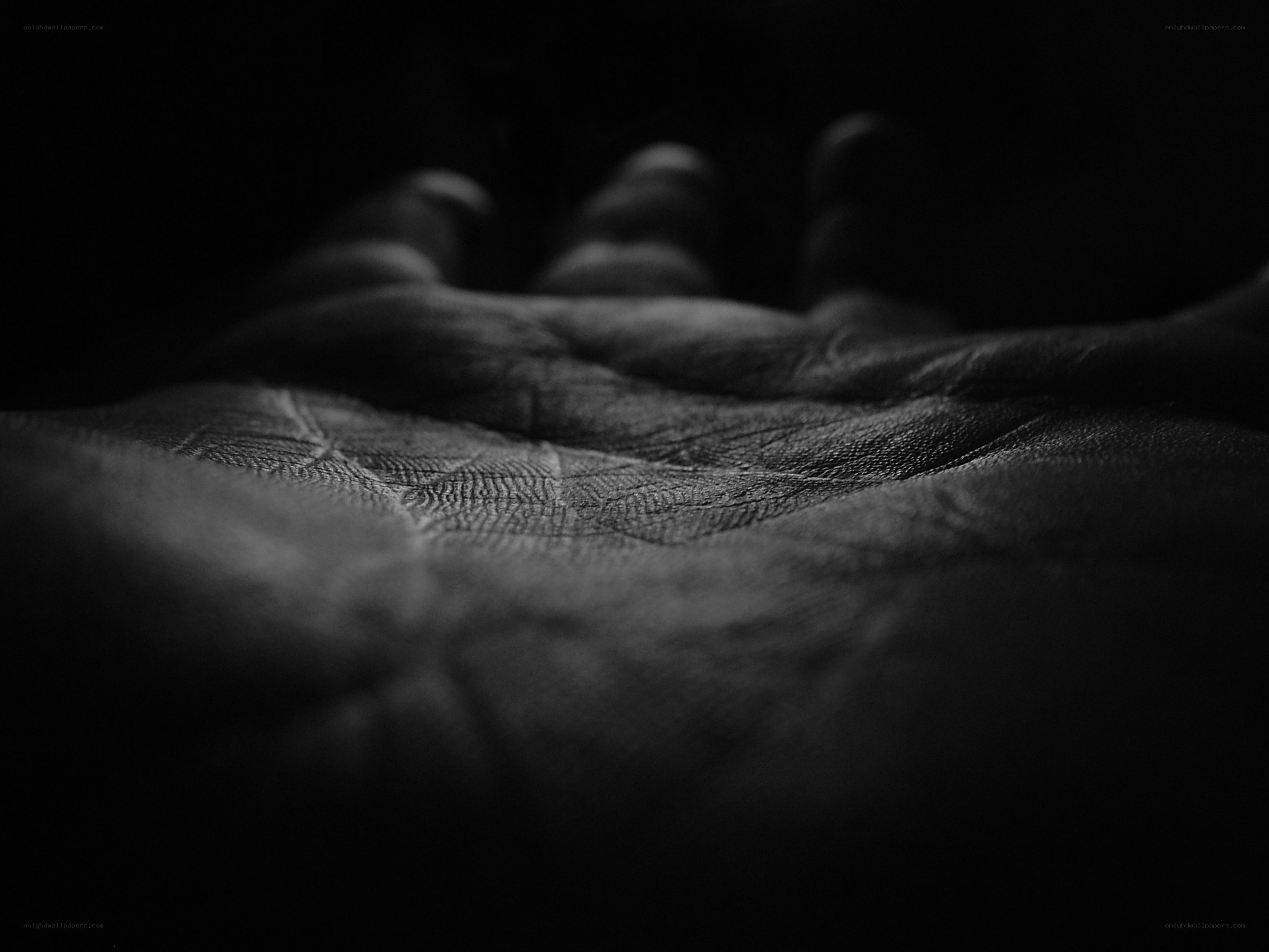 close-up of a hand