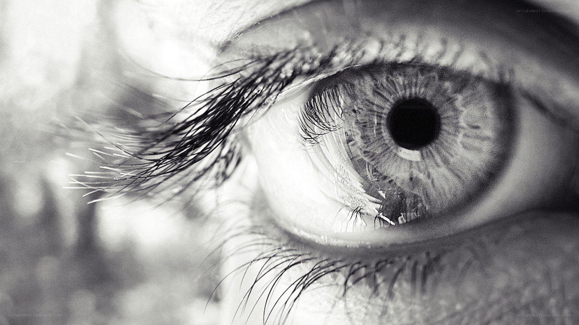 close-up of a human eye