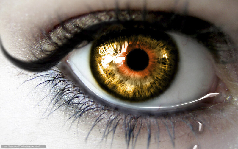 close-up of a human eye