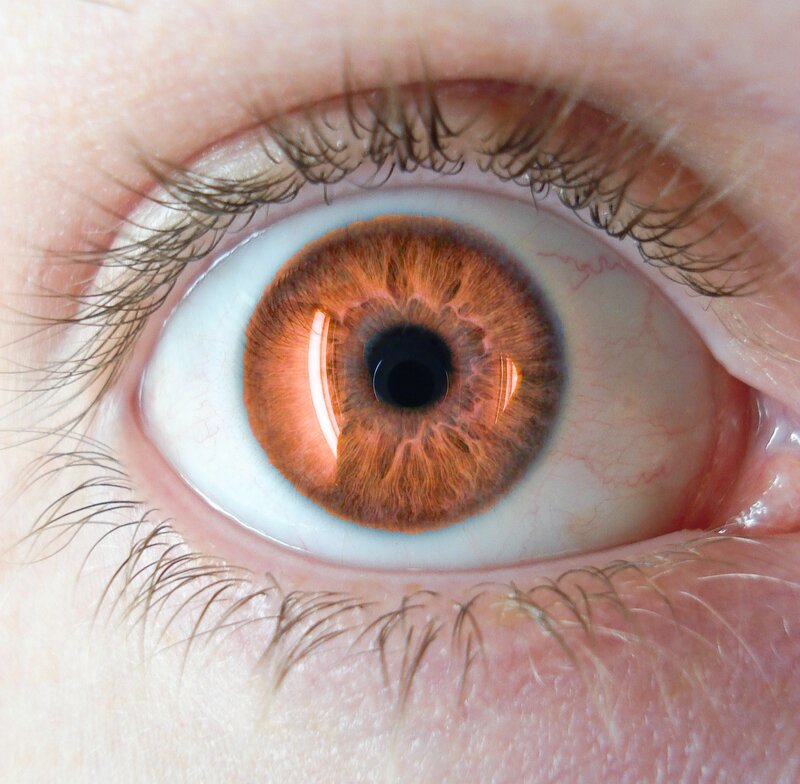 close-up of a human eye