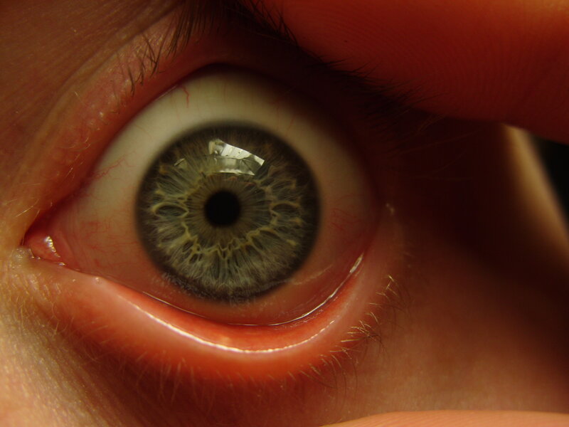 close-up of a human eye