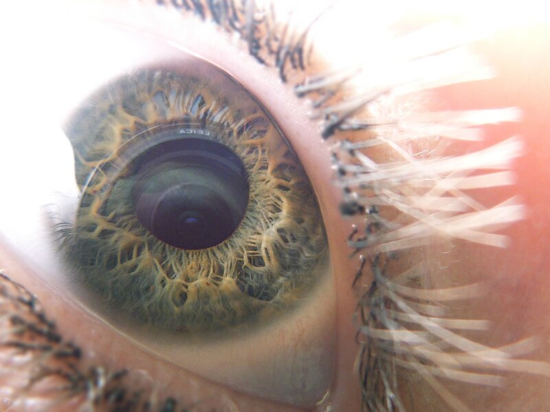 Close-up of a human eye