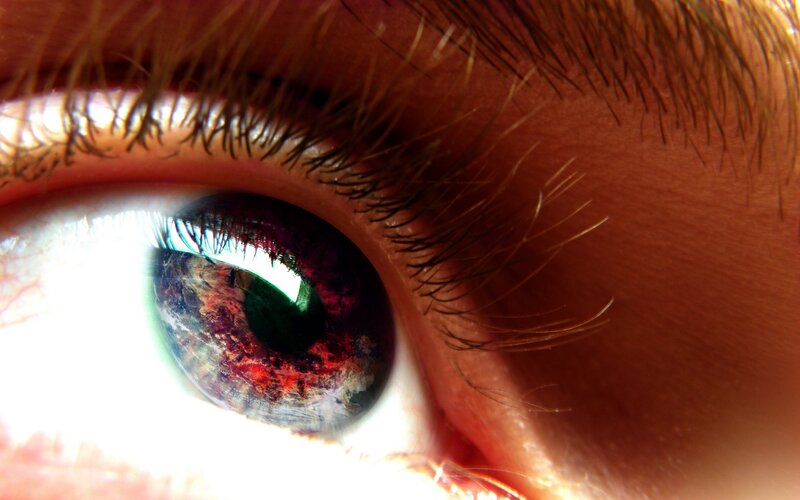close-up of a human eye