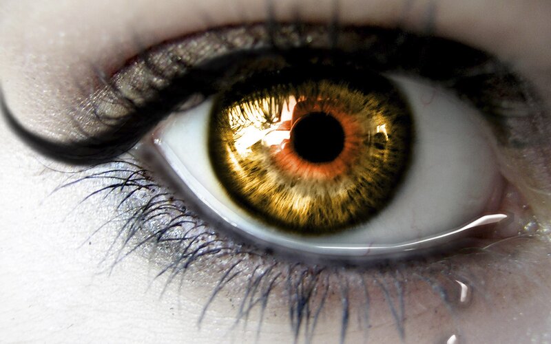 close-up of a human eye