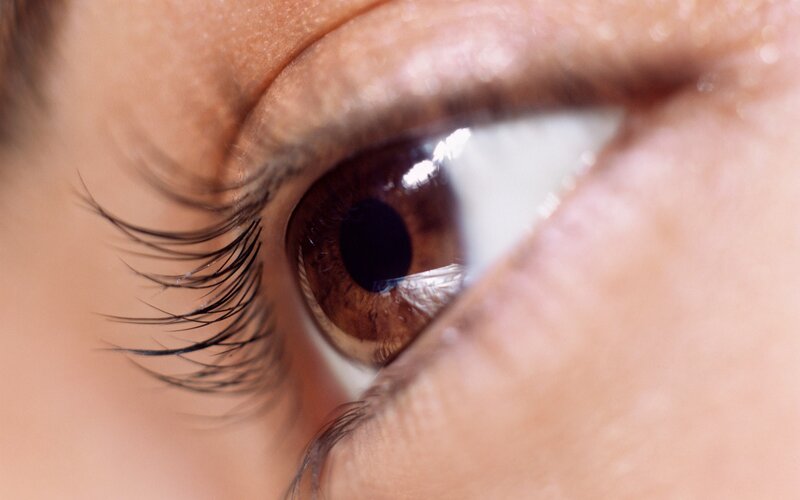 close-up of a human eye
