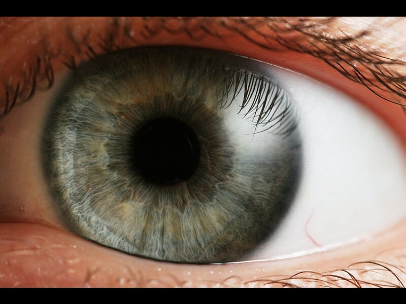 close-up of a human eye