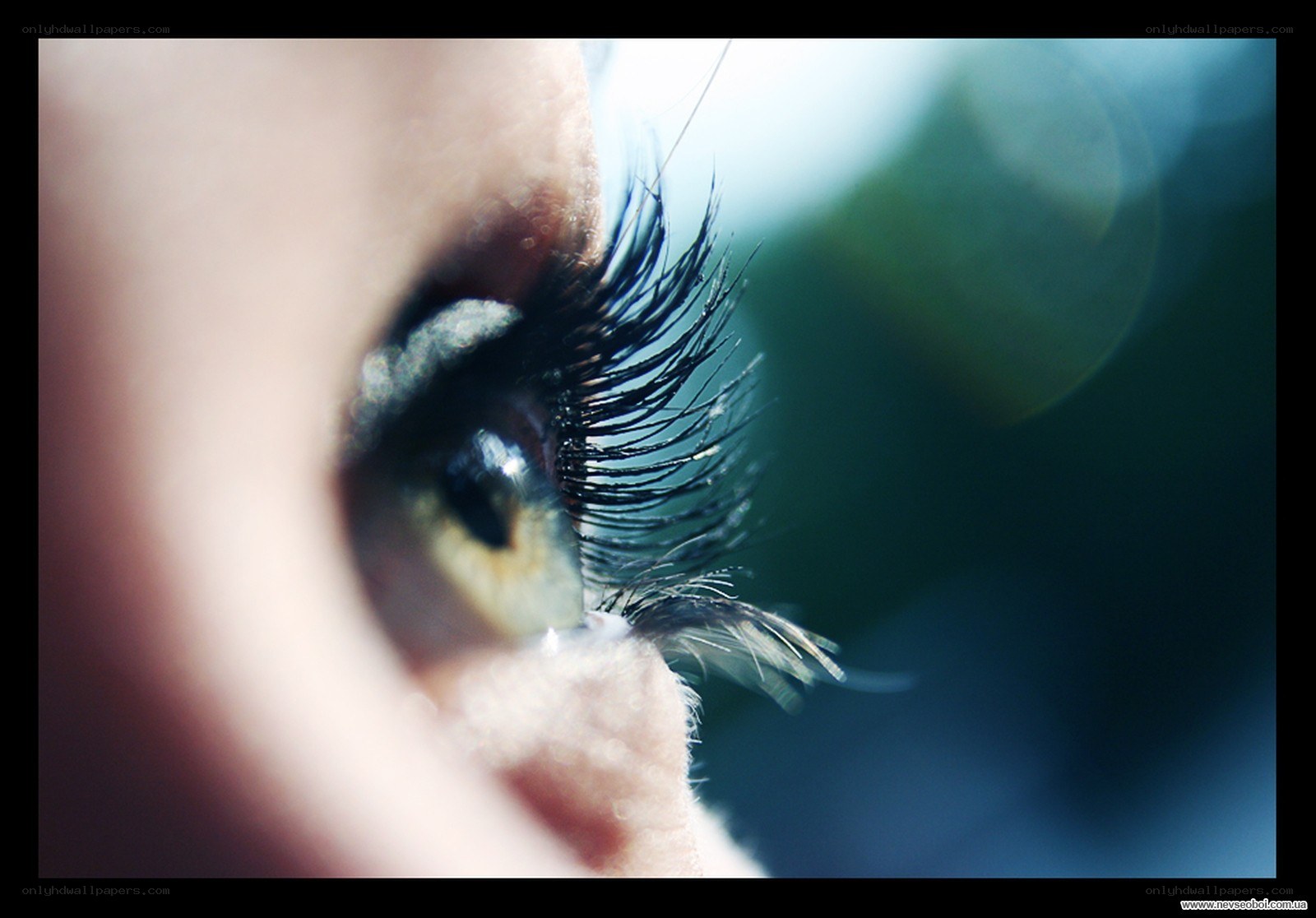 close-up of a human eye