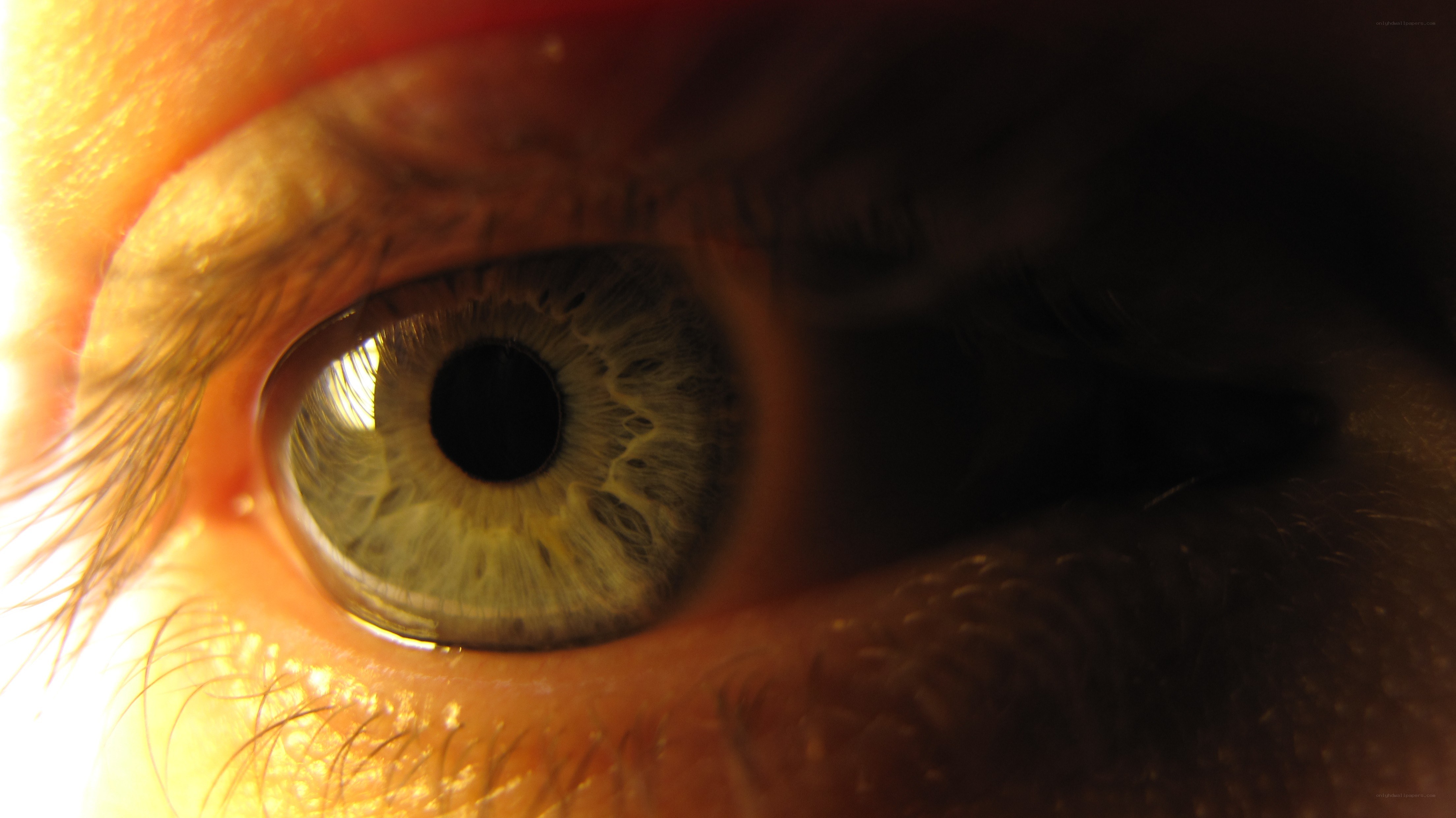 close-up of a human eye