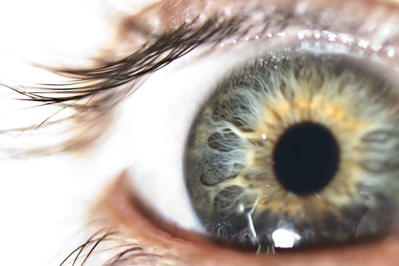 close-up of a human eye