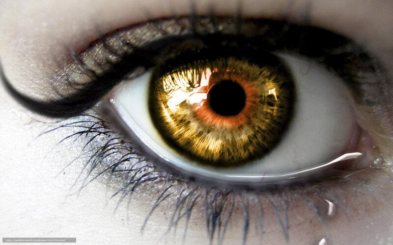 close-up of a human eye