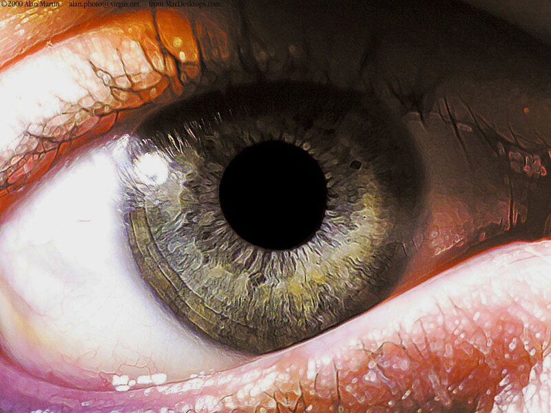 close-up of a human eye