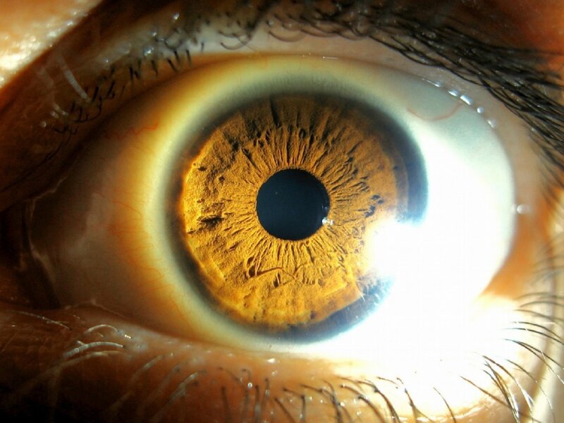 close-up of a human eye