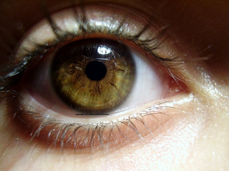 Close-up of a human eye