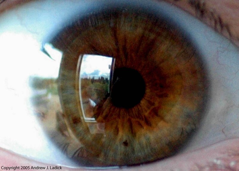 close-up of a human eye