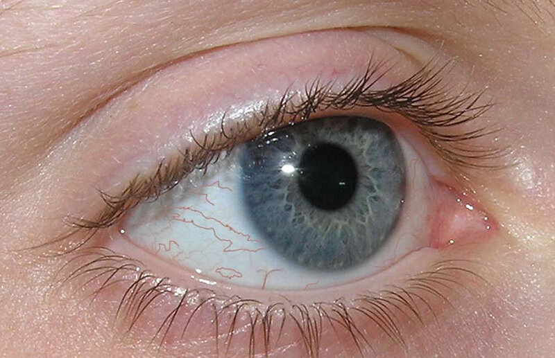 close-up of a human eye