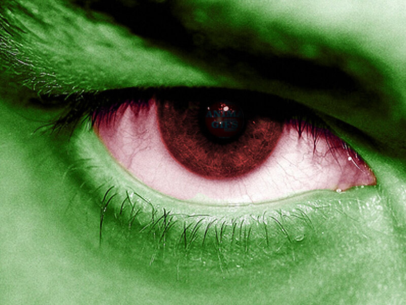 close-up of a human eye