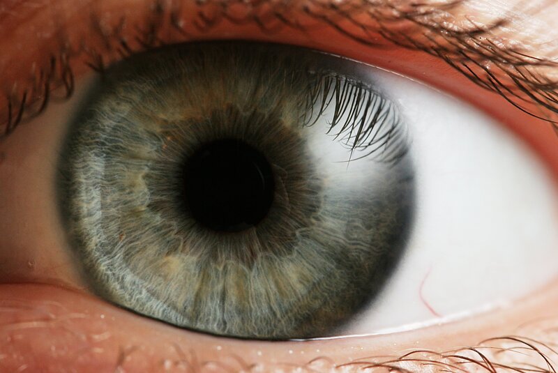 close-up of a human eye