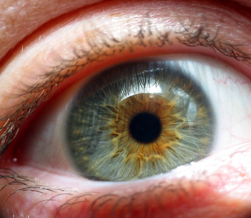 close-up of a human eye