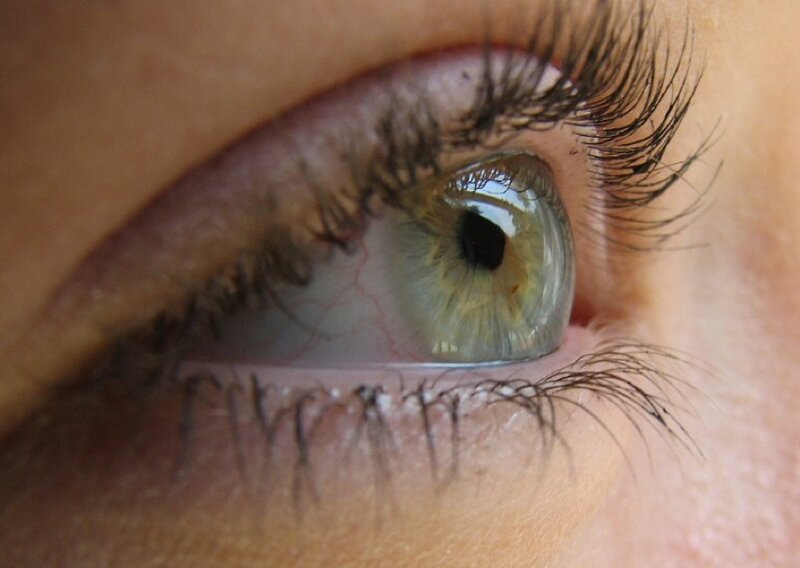 close-up of a human eye