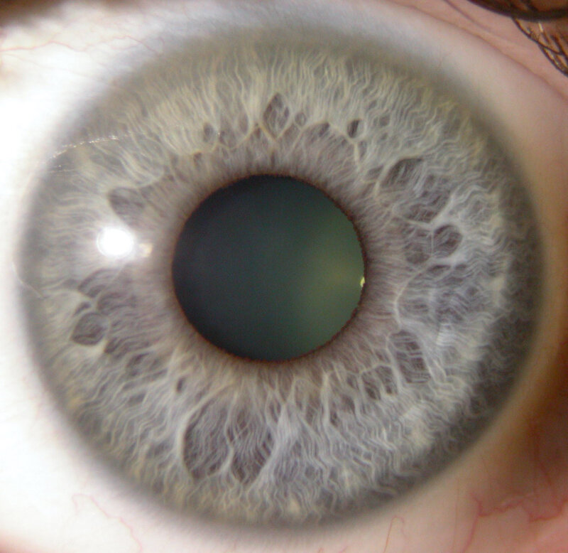 close-up of a human eye