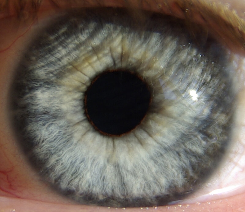 close-up of a human eye