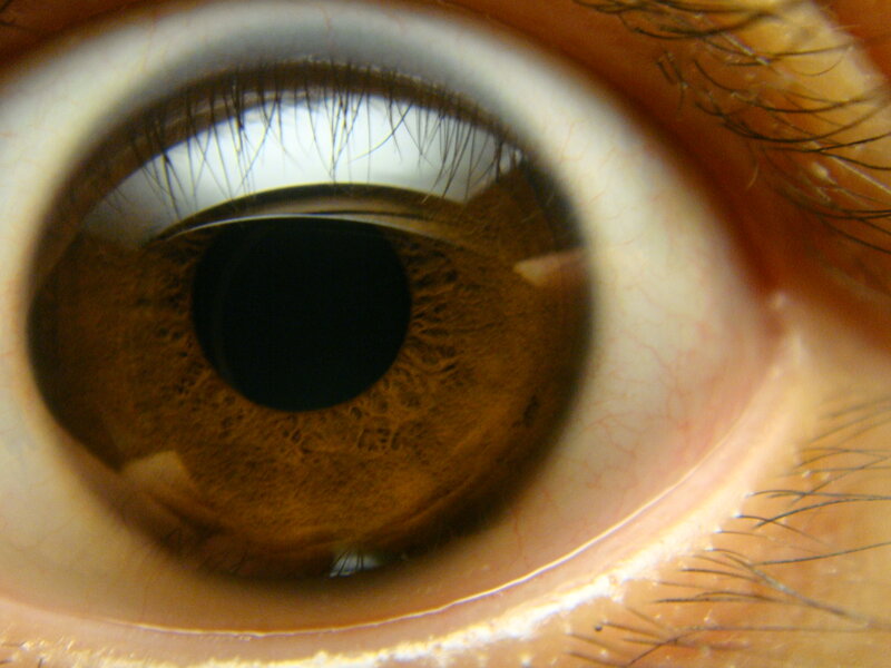close-up of a human eye